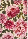 Vlněný koberec Harlequin DAHLIA Fuchsia